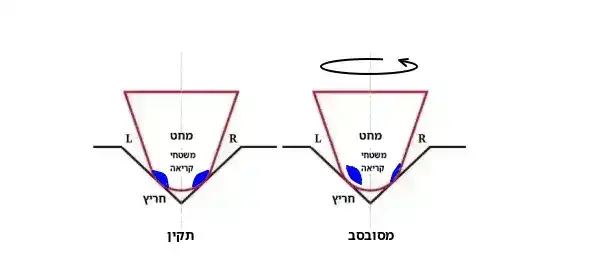 זנית'
